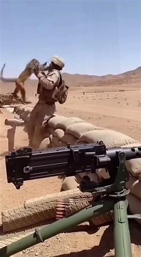 Monkey vs. Soldier! Chaos at the Firing Range! 🐒🔫