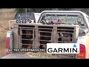 ΝΕΟ DVD ΚΥΝΗΓΙ ΑΓΡΙΟΓΟΥΡΟΥΝΟΥ 2015(HD)