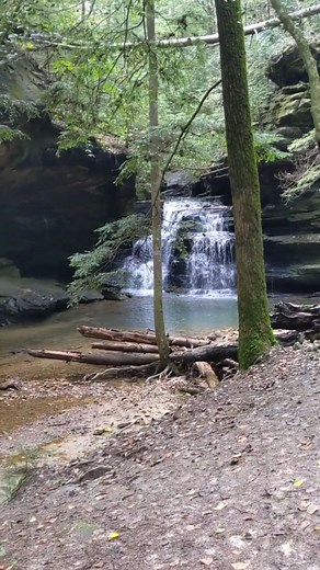 16K views · 240 reactions | Bankhead is full of magic and wonder....