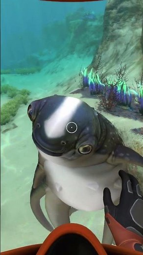 Subnautica: Cuddlefish Are so Cute