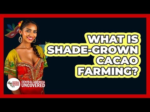 What Is Shade-Grown Cacao Farming?