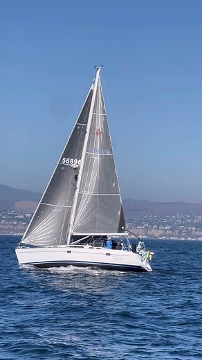 ⛵️SailingwithScott⛵️ | Scott Bloom