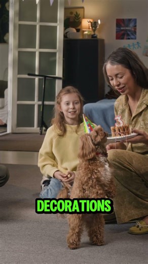 My dog's $200 birthday has people questioning me #dogbirthday #petlife #controversy