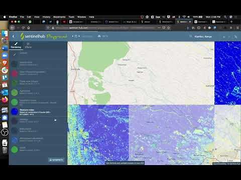 Quick Look - Sentinel Hub Playground