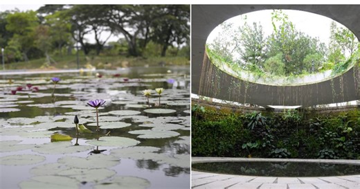 Mothership.SG - News from Singapore, Asia and around the world