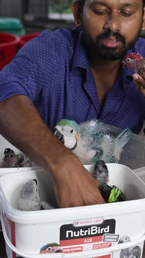 436K views · 2.4K reactions | swinson lorry | Junction club | Facebook