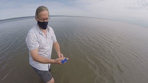 Researchers find virus that causes COVID-19 in Lake Superior beach water