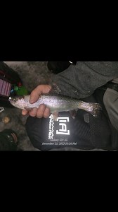 Matt Mccune on Reels
