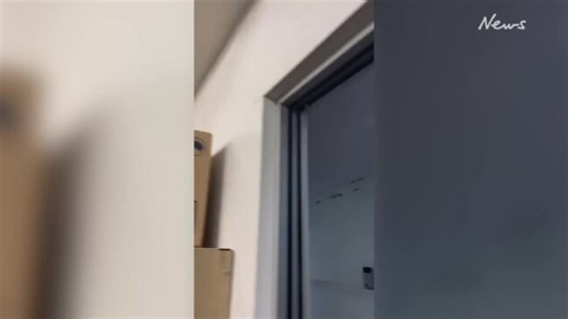 NSW Police have come under attack from thousands of moths at a Sydney police station