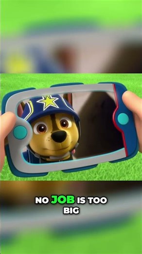 Paw Patrol Rescue! Jake's Hurt, Ryder Needs You!