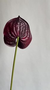 23.6" Real Touch Fake White Green Pink Anthurium, Artificial Flowers, DIY Centerpieces/floral/wedding/occasion/home Decoration | Gifts - Etsy