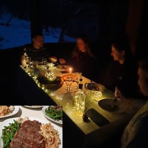 Wolf Centre – Haliburton Forest & Wild Life Reserve Ltd