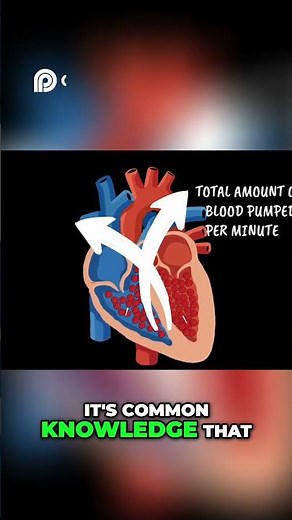Systemic Vascular Resistance | Vasoconstriction Vs Vasodilation
