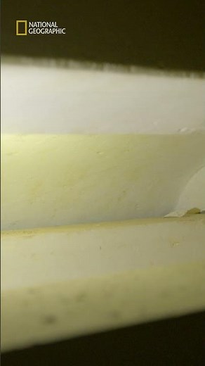 Sarkofag premium | Egipt: miejsce pełne tajemnic #shorts