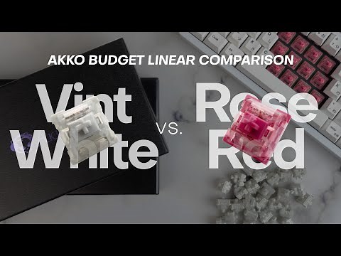 Akko CS Budget Linear Comparison | Vintage White vs Rose Red