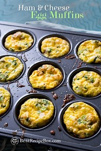 Cheese Egg Muffins Recipe High Protein Bites | Best Recipe Box