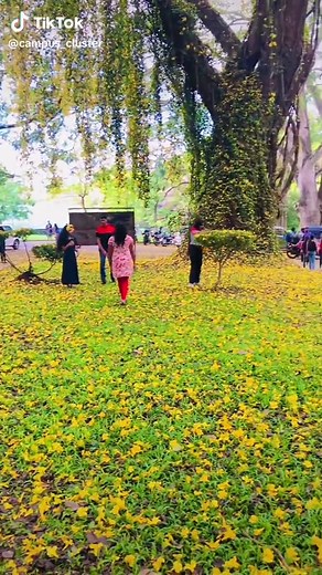 Exploring Peradeniya University in Sri Lanka