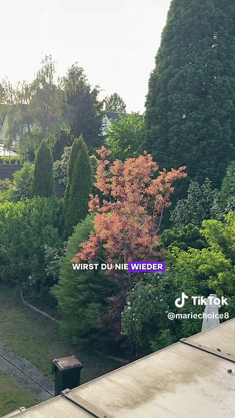 Welches Sternzeichen bist du? Sternzeichen Übersicht und Bedeutung