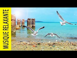 Soft, relaxing music and ocean of peace, zen beach, tropical, seagulls, instrumental music