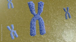 3d animation of chromosomes. The movement of X chromosomes in the cell. Stock Video