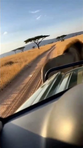 "A King's Path: Too Close for Comfort?"