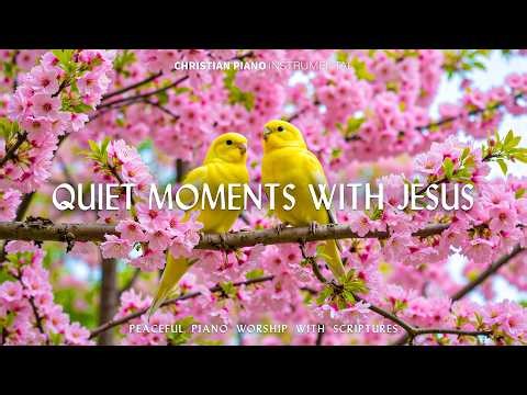 QUIET TIME WITH JESUS - Powerful Spring Worship Piano & Inspiring Bible Verses With Cherry Blossom