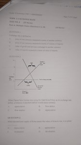 Grade 12 Economics UNIT 3 ASSESSMENTTOPIC 3: EXCHANGE RATET... | Filo