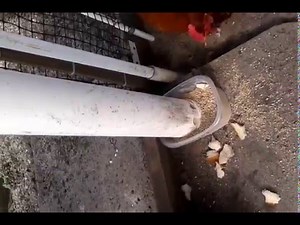 FEEDER and WATER PVC PIPE FOR ALL PETS