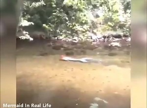 7.7M views · 10K reactions | Mermaid❗隆  Real❓ or fake ❗❓ https://instagram.com/aliens.and_the.universe?igshid=91332p5isjuq | Aliens and the Universe | Facebook