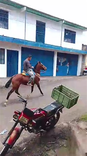 🇻🇪Mientras más tierra te echen❤️ mejor creces