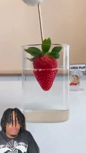 Strawberry Popsicle Experiment: Does It Really Work?
