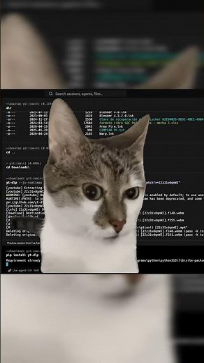 Download ANY video in seconds with Python (No websites needed) 🐍🚀