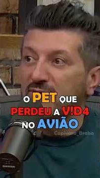 Botaram o cachorro no voo errado — e ele não voltou 🐶😢