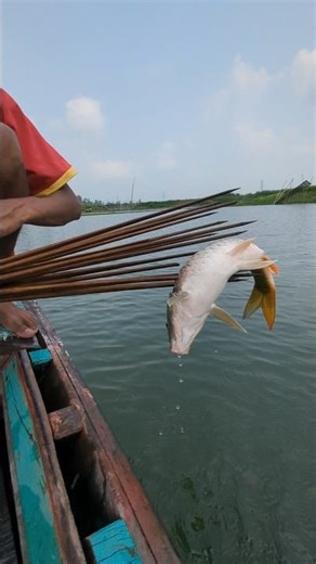 Catching Big Fish from a Small Boat | Village Fishing | #shorts #fishingvideo #fishing #villagelife