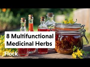 8 MULTIFUNCTIONAL MEDICINAL HERBS — Ep. 117