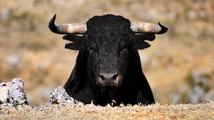 Next-Generation DeFi Platform M^ZERO Exits Stealth Mode With $22.5M Funding Round