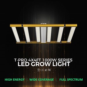 [Hot Item] OEM/ODM Spectrum ETL Dlc Certified LED Grow Lamp 1000W with Enhanced Light Spectrum