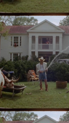 My redneck dreams coming to fruition while still hoping and dreaming for more... "Cows In The Front Yard" is out NOW!  | Dalton Davis | Facebook