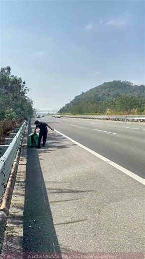 Highway “Moving Obstacle”? Man Pushes Box Across Lanes