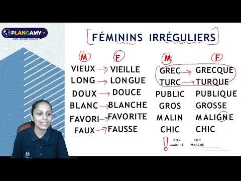 How to Use Adjectives in French