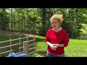 How to plant cucumbers