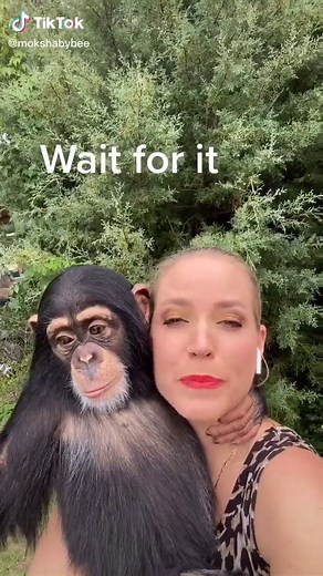 #transformation #transition #chimp #chimpanzee #fun #makeup #halloween #halloweenathome #boo #boostyourmood #beinspired