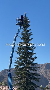 23K views · 452 reactions | Don’t miss the most wonderful time of the year  at La Quinta Resort & Club! Enjoy holiday movie screenings, seasonal sips, chestnut roasting and so much more Our annual tree lighting will commence this Sunday at 5pm #christmastree #ChristmasTree2023 #christmastradition #laquintaresort #laquinta #palmsprings | La Quinta Resort & Club | Facebook