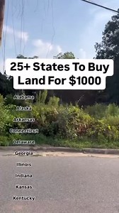 Land Bank Properties are the best way to purchase vacant land and houses without experience or using any credit. This is a perfect way for New Investors to build their Real Estate Portfolio🏚️ Comment “BANK” to Grab my Land Bank List of 240 websites with cheap property‼️ | theprettygirlinvestor
