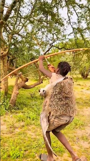 Extreme Bush Hunting 🏹 | Monkey Hunt in the Wild Forest #africa #wildlife #shortsfeed