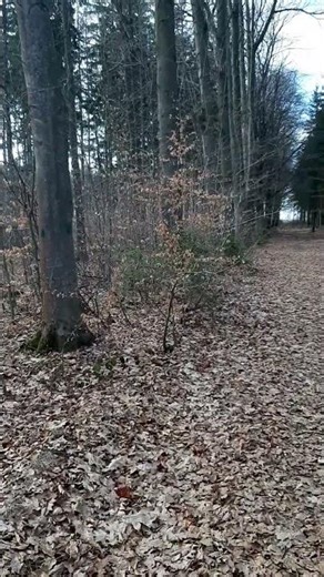 👉Deutschland hat es verschlafen!👈