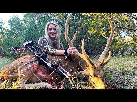 My WIFE Got Her First AXIS DEER With A BOW {Catch Clean Cook}