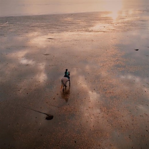 Every crossing to the Isle of Wight begins a new story; adventure, nature, or time together, it all starts as you board. | Wightlink Isle of Wight Ferries