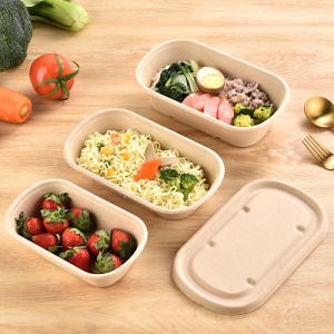 [Hot Item] Wholesale for Eco Friendly Bento Box Disposable Food Containers with Lids