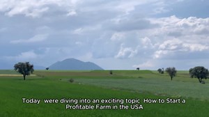 Building a Successful Farm Business from Scratch